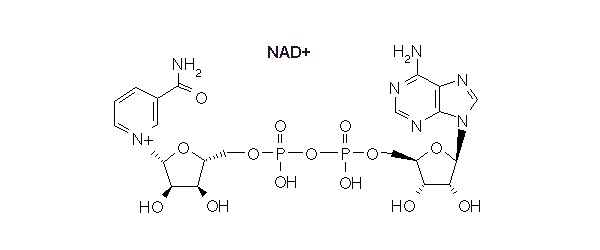 NAD+